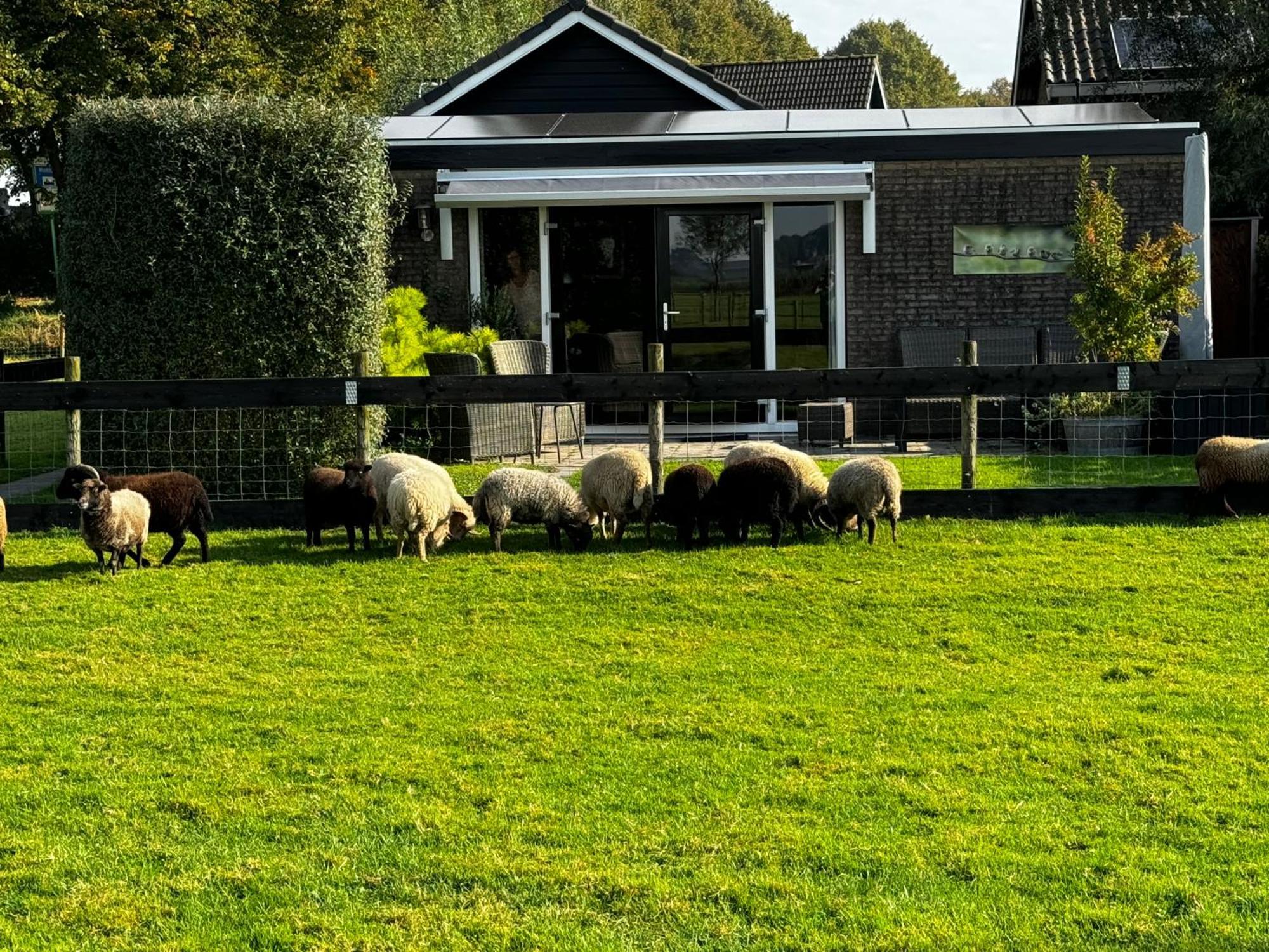 Vakantiewoning Le Garaazje 'S-Gravendeel Exterior foto